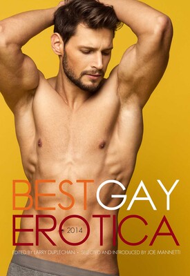 Best Gay Erotica 2014 Best Gay Erotica 2014