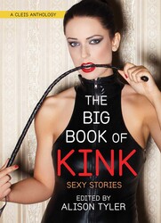 Big Book of Kink Big Book of Kink