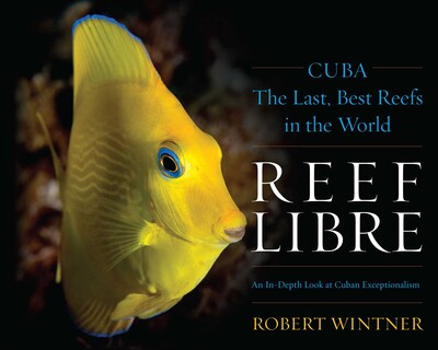Reef Libre Reef Libre