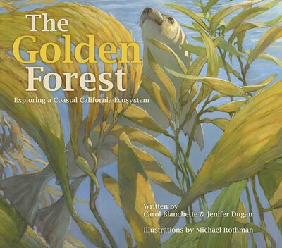 Golden Forest Golden Forest