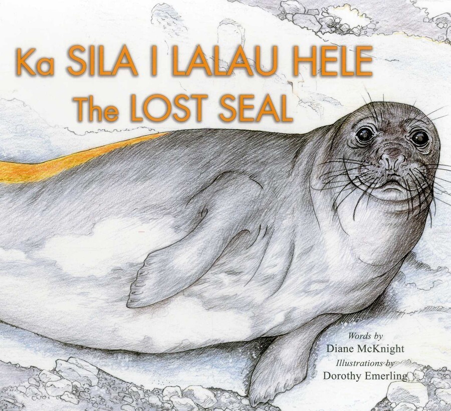 Lost Seal