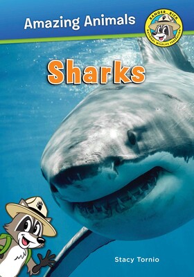 Sharks Sharks