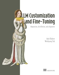 LLM Customization and Fine-Tuning LLM Customization and Fine-Tuning