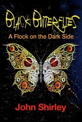 Black Butterflies Black Butterflies