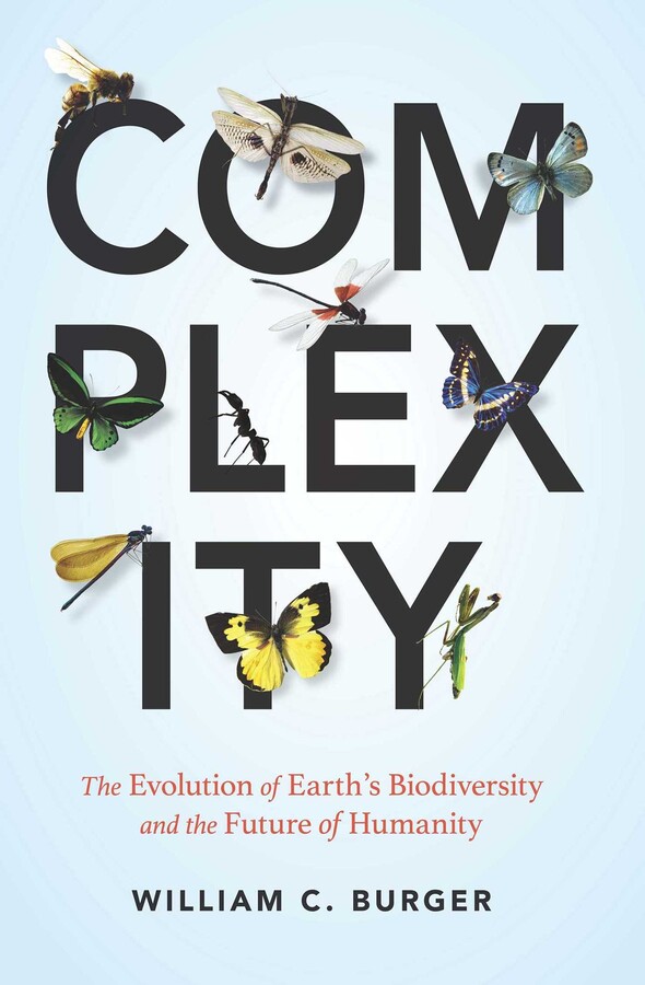 Complexity