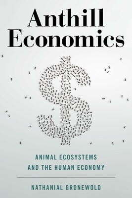 Anthill Economics Anthill Economics