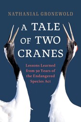 A Tale of Two Cranes A Tale of Two Cranes