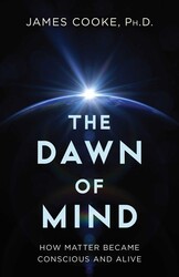 Dawn of Mind