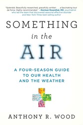 Something in the Air