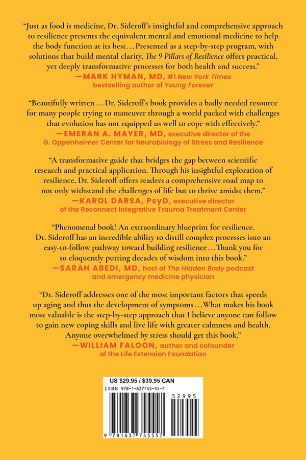 The 9 Pillars Of Resilience Book By Stephen I Sideroff Official
