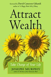 Attract Wealth Attract Wealth