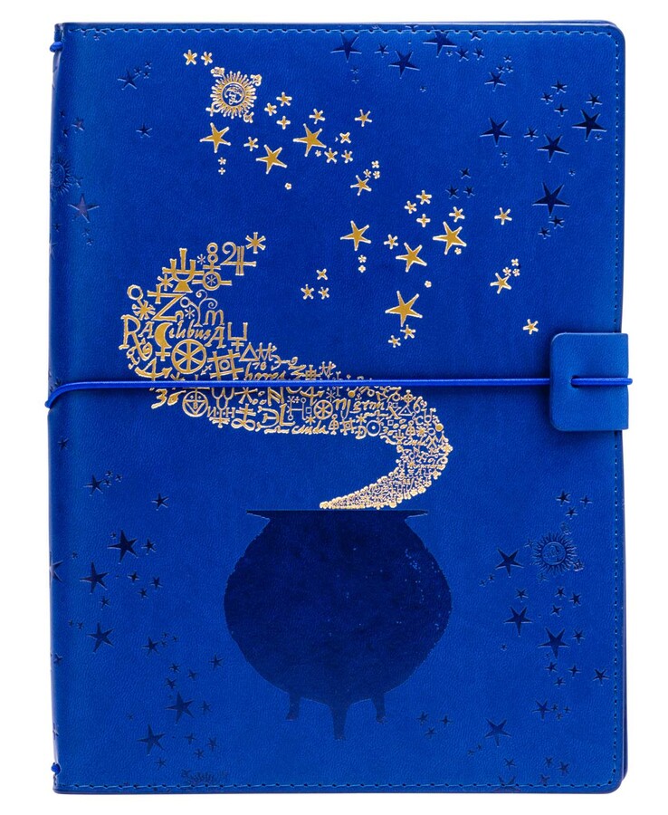 Harry Potter: Spells and Potions Traveler's Notebook Set
