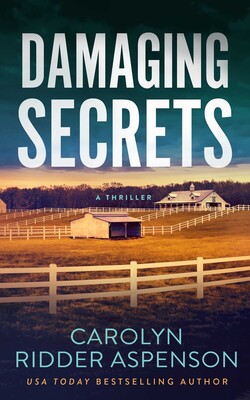 Damaging Secrets Damaging Secrets