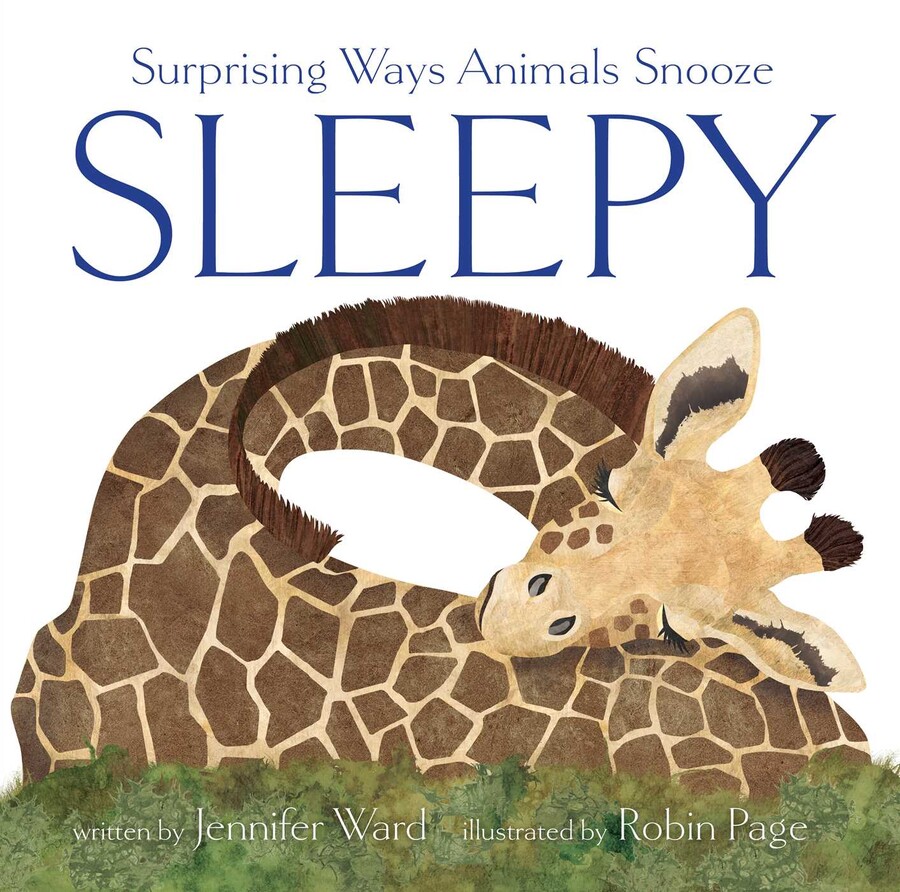 Sleepy | Book by Jennifer Ward, Robin Page | Official Publisher Page ...