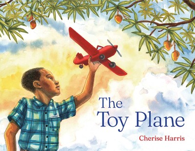 The Toy Plane The Toy Plane