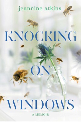 Knocking on Windows Knocking on Windows