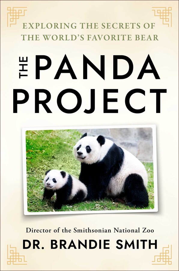 Panda Project
