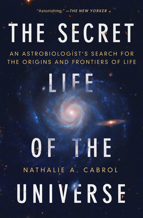Secret Life of the Universe