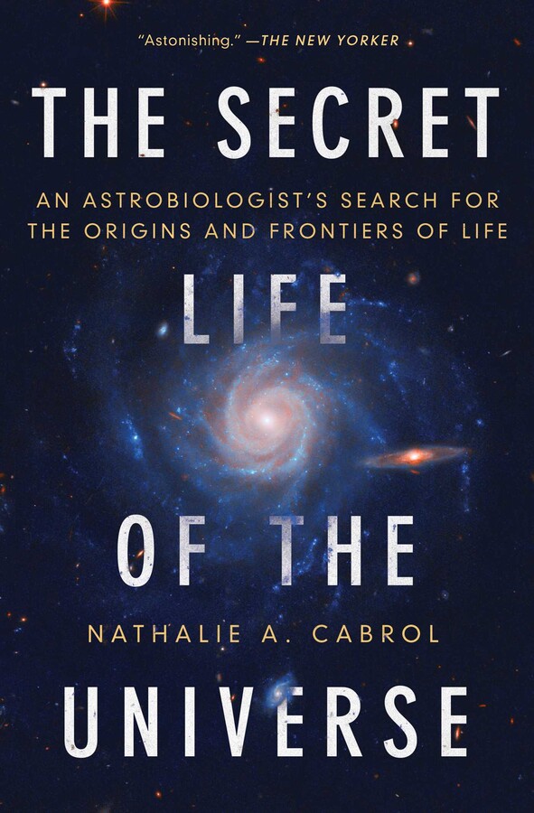 Secret Life of the Universe
