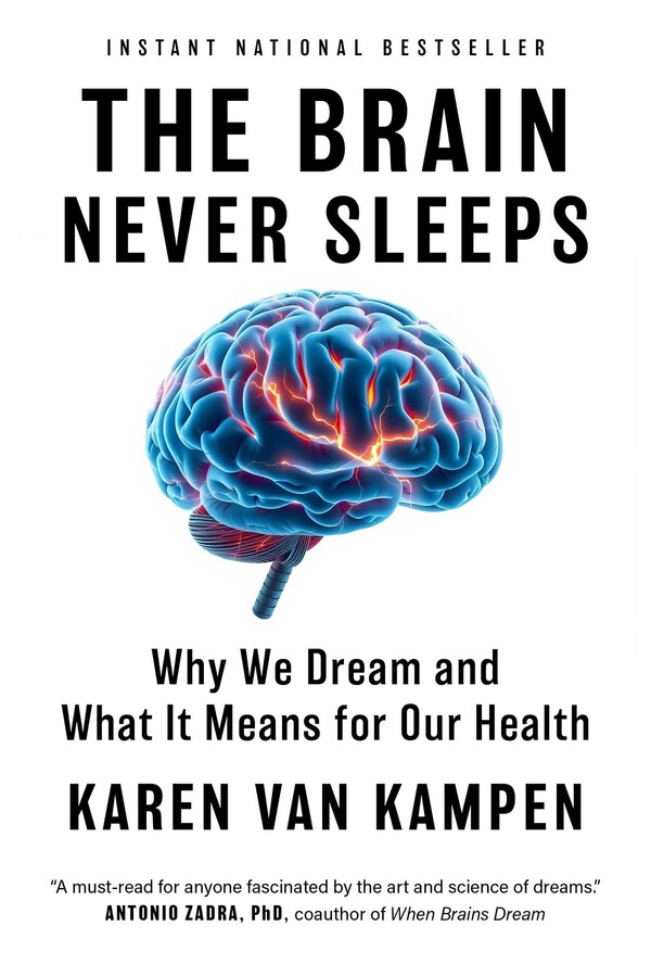 Brain Never Sleeps