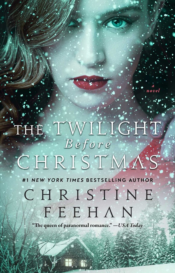 Twilight Before Christmas