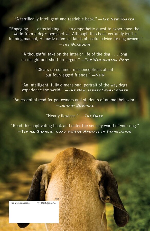 Inside of a Dog