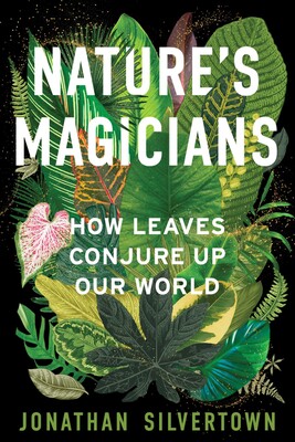 Nature's Magicians Nature's Magicians