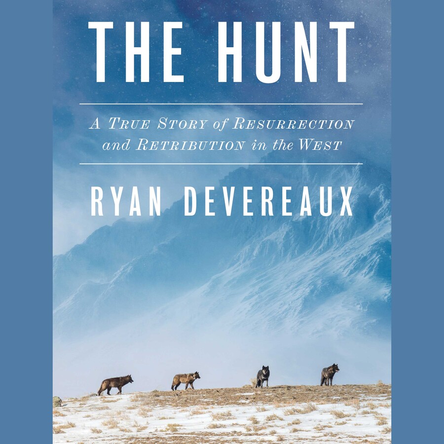 Hunt