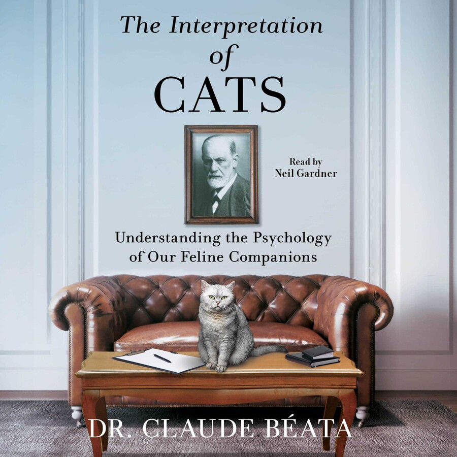 Interpretation of Cats