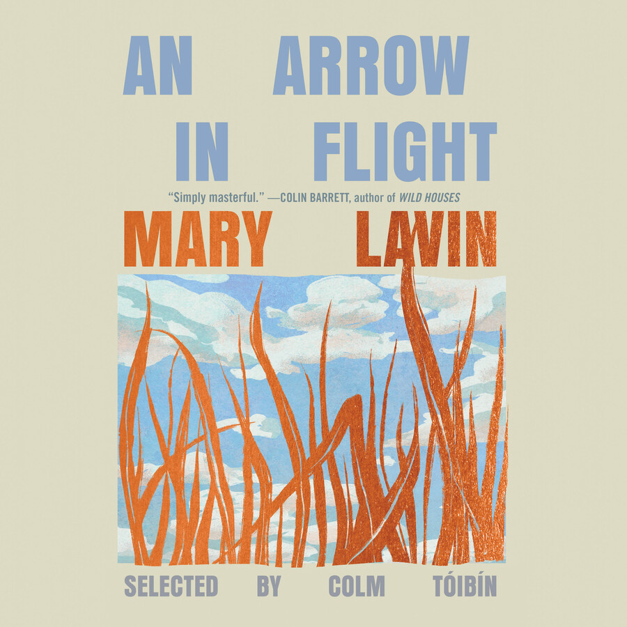 Arrow in Flight