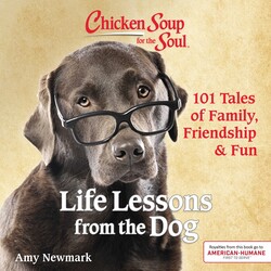 Chicken Soup for the Soul: Life Lessons from the Dog Chicken Soup for the Soul: Life Lessons from the Dog