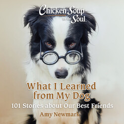 Chicken Soup for the Soul: What I Learned from My Dog Chicken Soup for the Soul: What I Learned from My Dog
