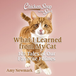 Chicken Soup for the Soul: What I Learned from My Cat Chicken Soup for the Soul: What I Learned from My Cat