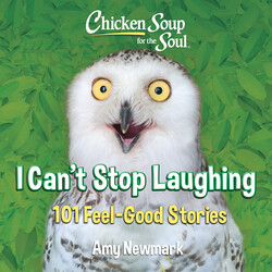Chicken Soup for the Soul: I Can't Stop Laughing Chicken Soup for the Soul: I Can't Stop Laughing