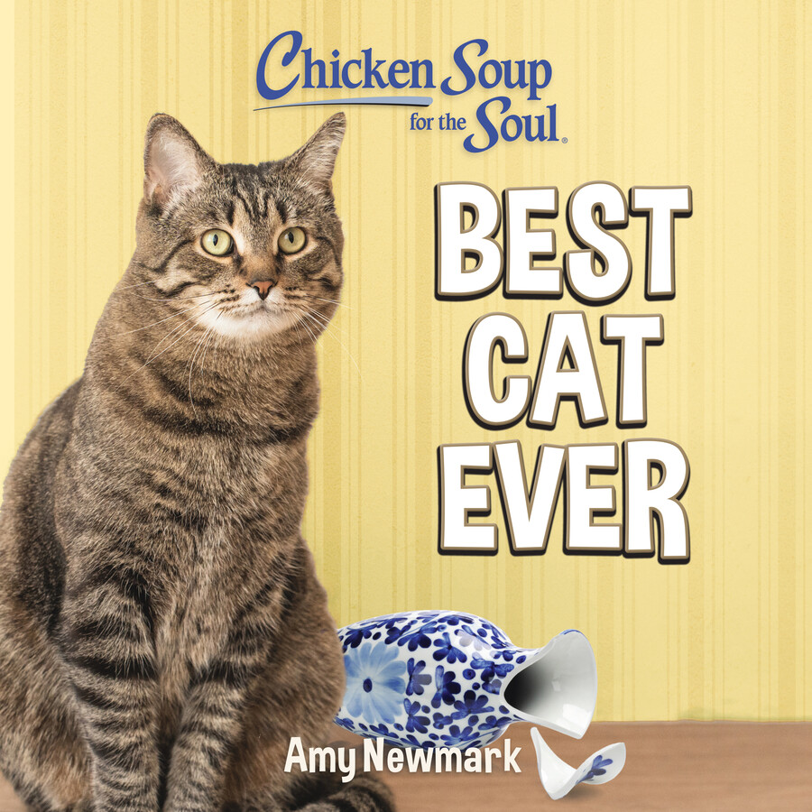 Chicken Soup for the Soul: Best Cat Ever
