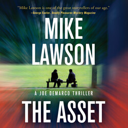 The Asset The Asset