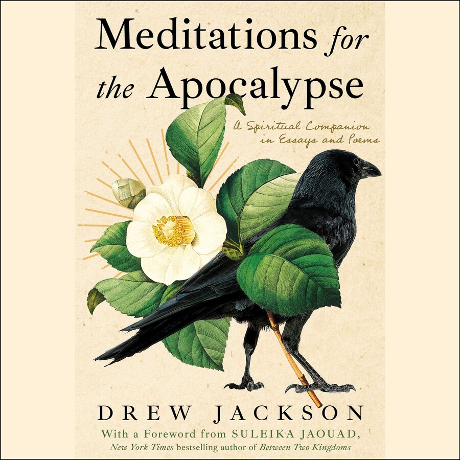 Meditations for the Apocalypse