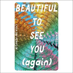 Beautiful to See You (Again)