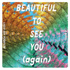 Beautiful to See You (Again) Beautiful to See You (Again)