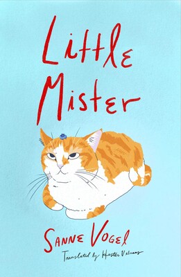 Little Mister Little Mister