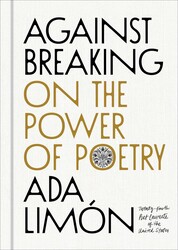 Against Breaking