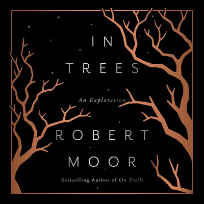 In Trees In Trees