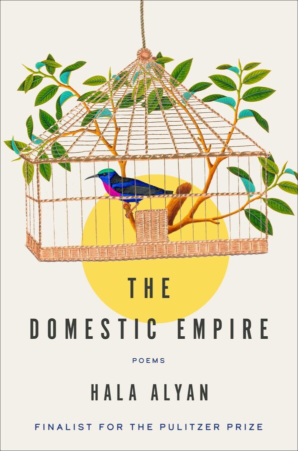 Domestic Empire