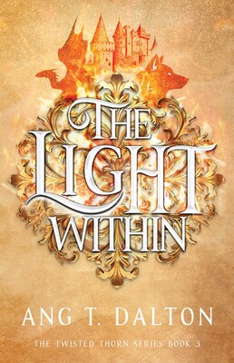 The Light Within The Light Within