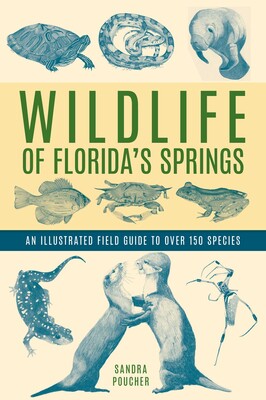 Wildlife of Florida's Springs Wildlife of Florida's Springs