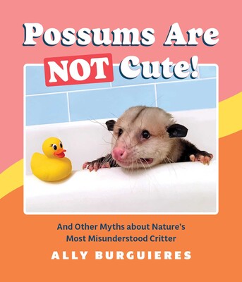 Possums Are Not Cute! Possums Are Not Cute!