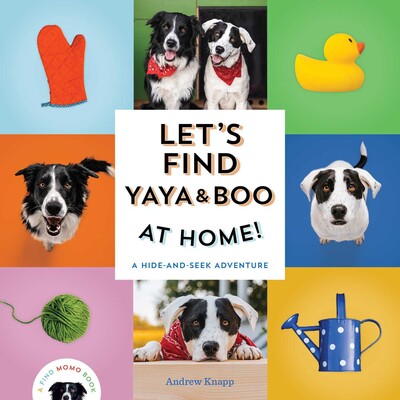Let's Find Yaya and Boo at Home! Let's Find Yaya and Boo at Home!
