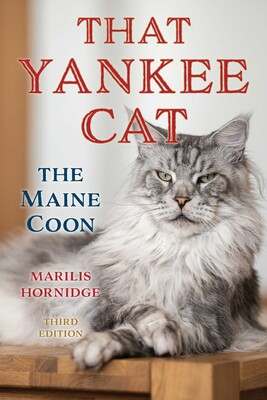That Yankee Cat That Yankee Cat