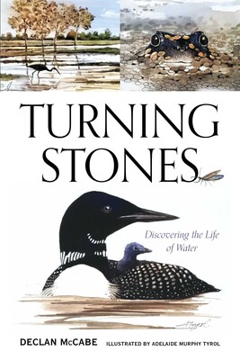 Turning Stones Turning Stones