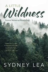 Little Wildness